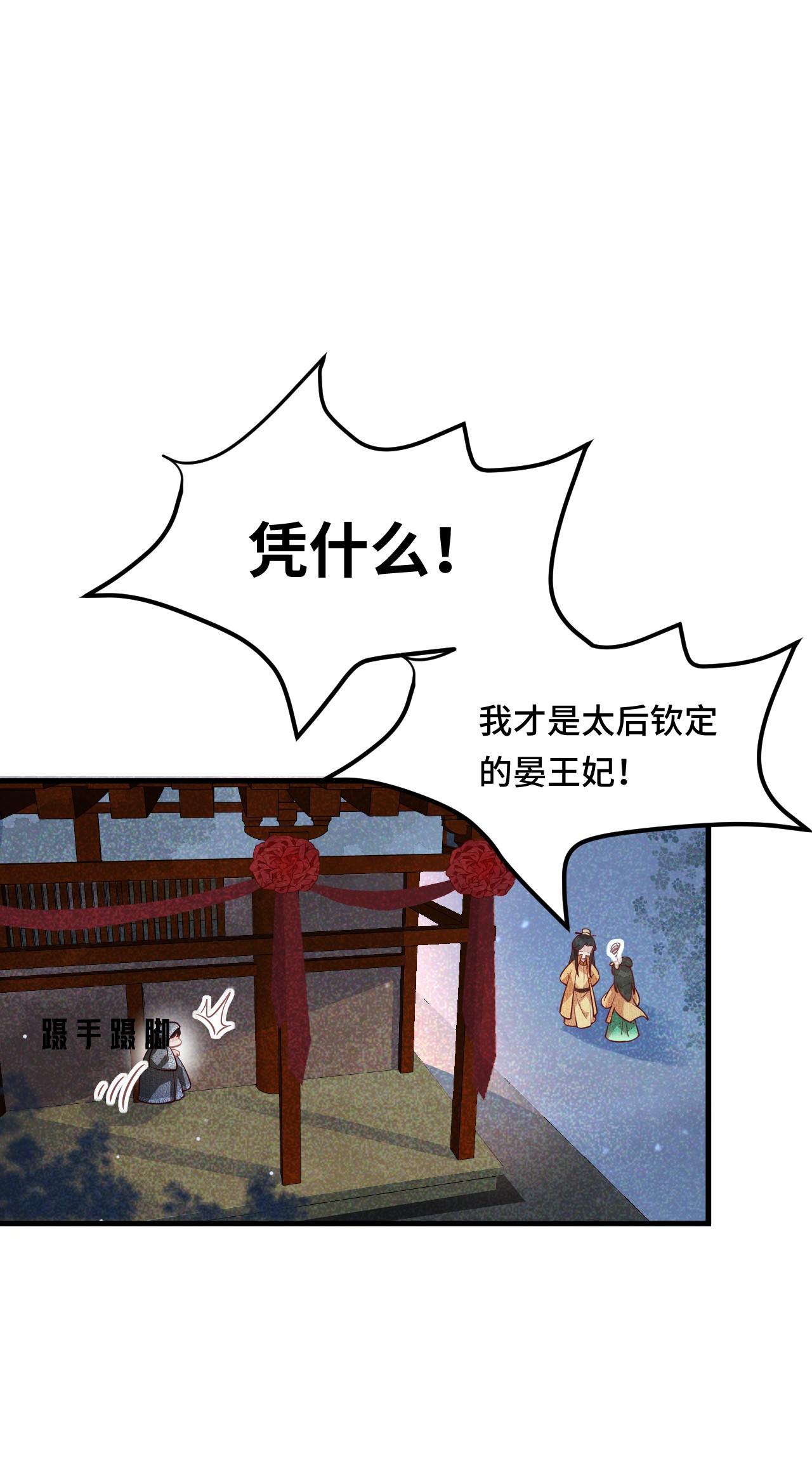 这个王妃性别男004 新婚之夜