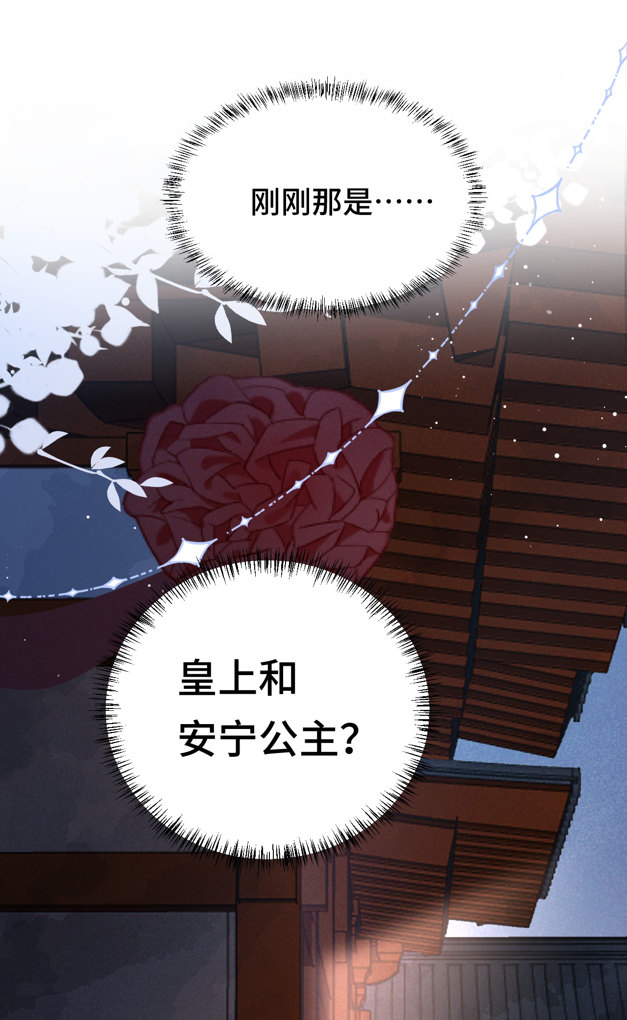 这个王妃性别男004 新婚之夜