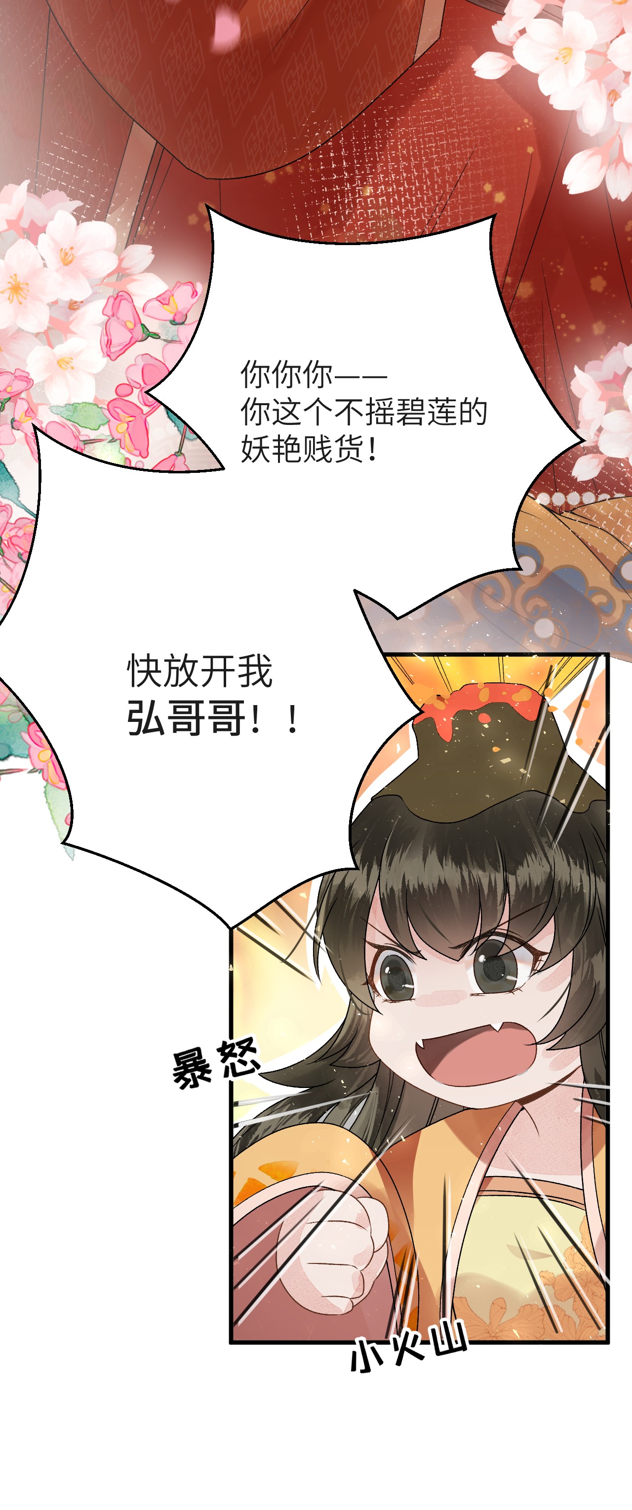 这个王妃性别男006 大闹婚房