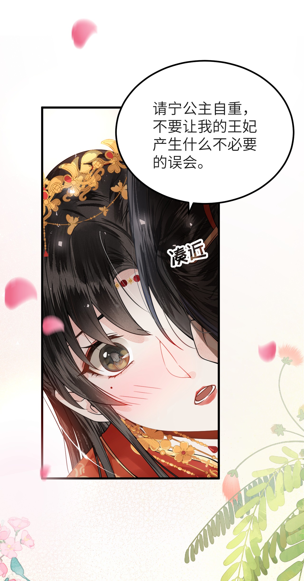 这个王妃性别男006 大闹婚房
