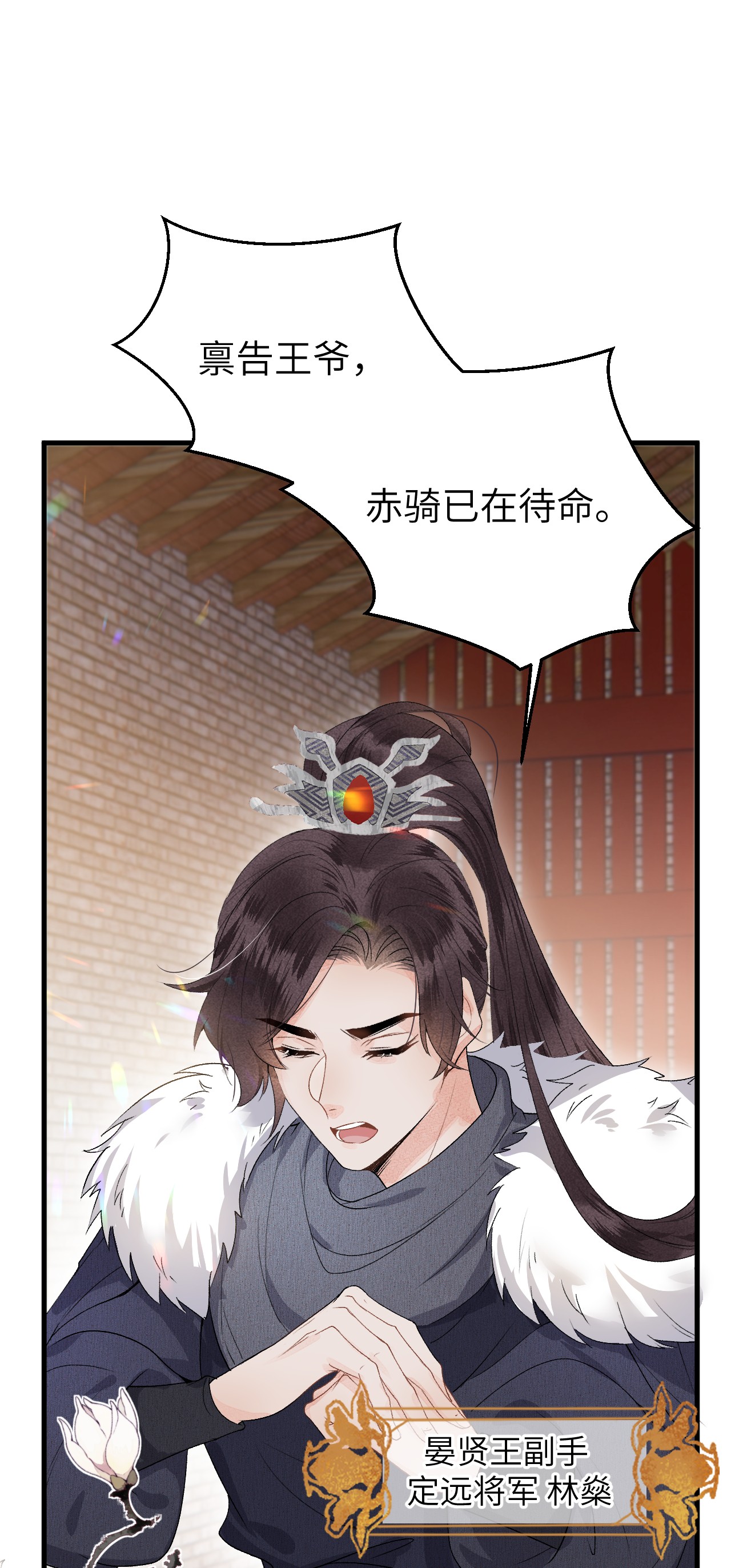 这个王妃性别男009 不为人知的守护者