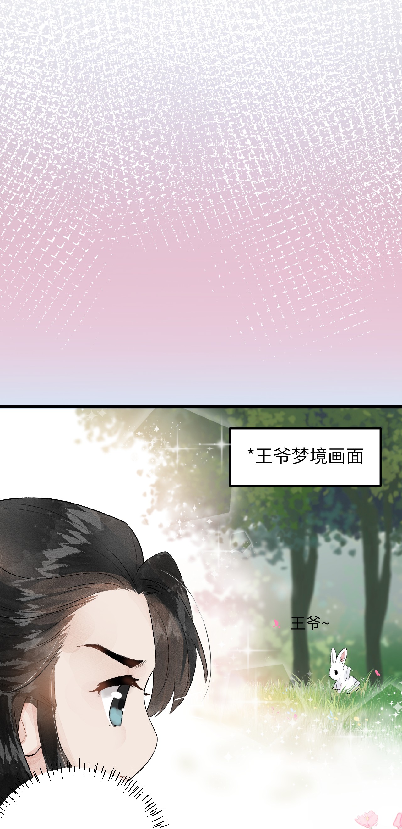 这个王妃性别男009 不为人知的守护者