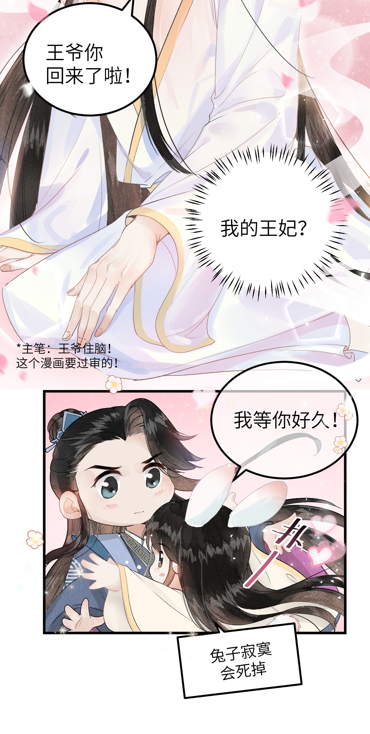这个王妃性别男009 不为人知的守护者