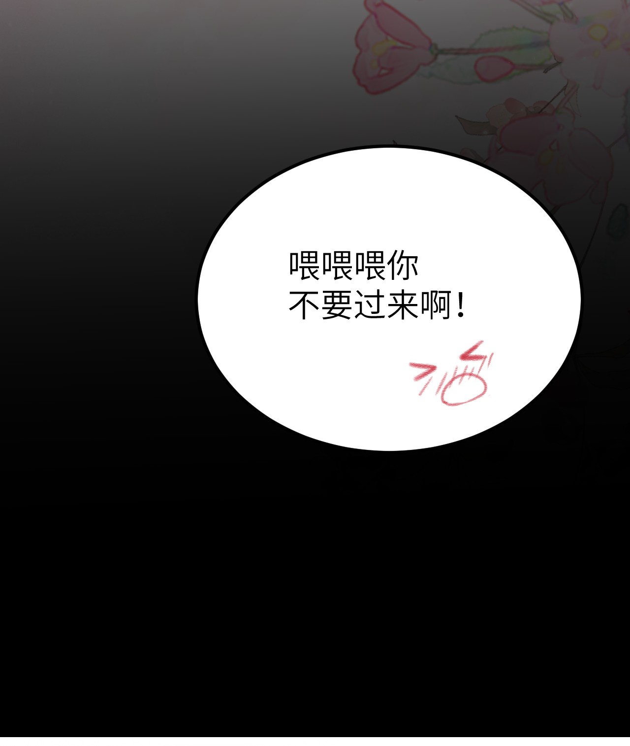 这个王妃性别男小剧场 簪花录里到底有什么