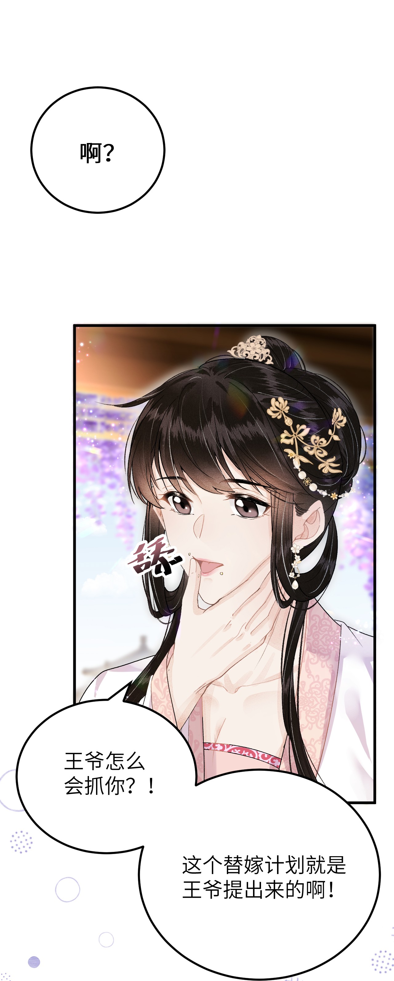 这个王妃性别男017 本王选的是他