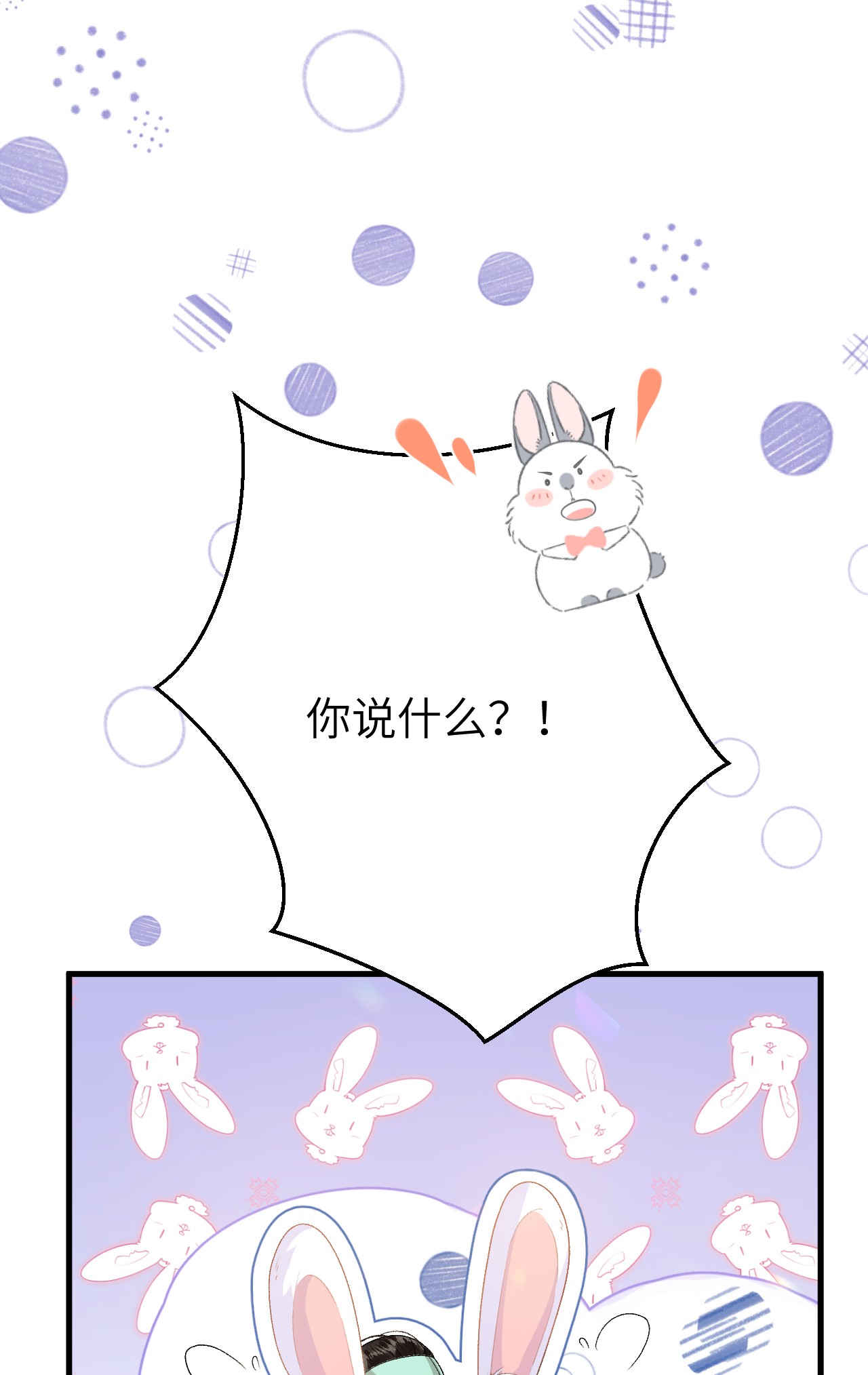 这个王妃性别男017 本王选的是他