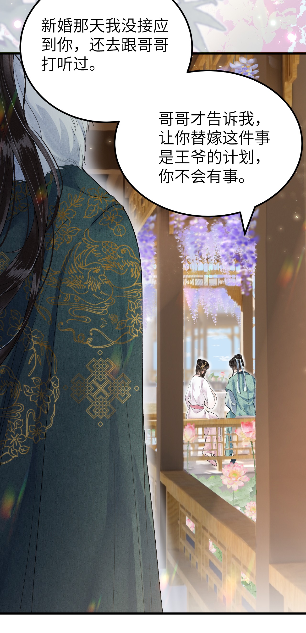 这个王妃性别男017 本王选的是他
