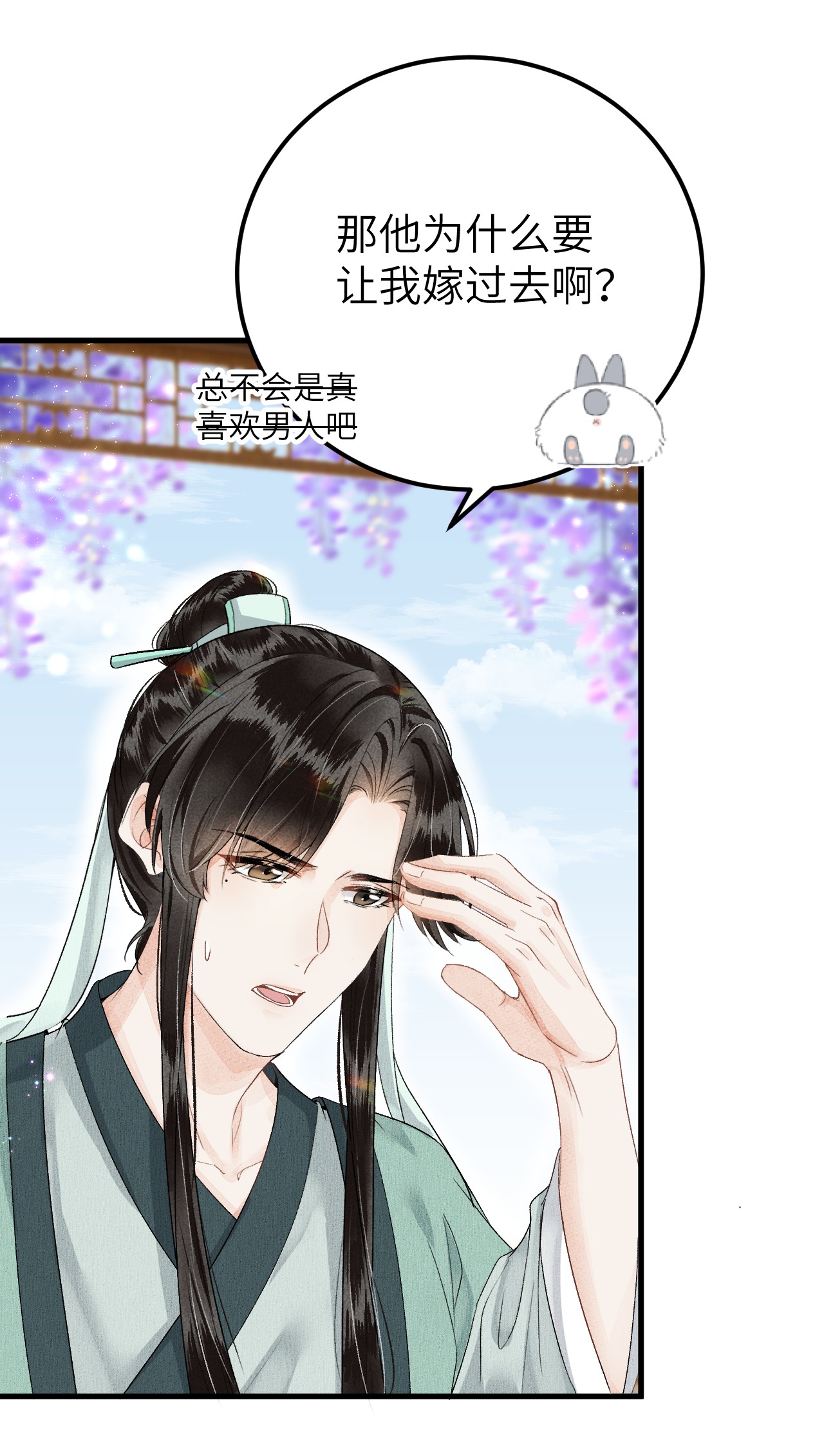 这个王妃性别男017 本王选的是他