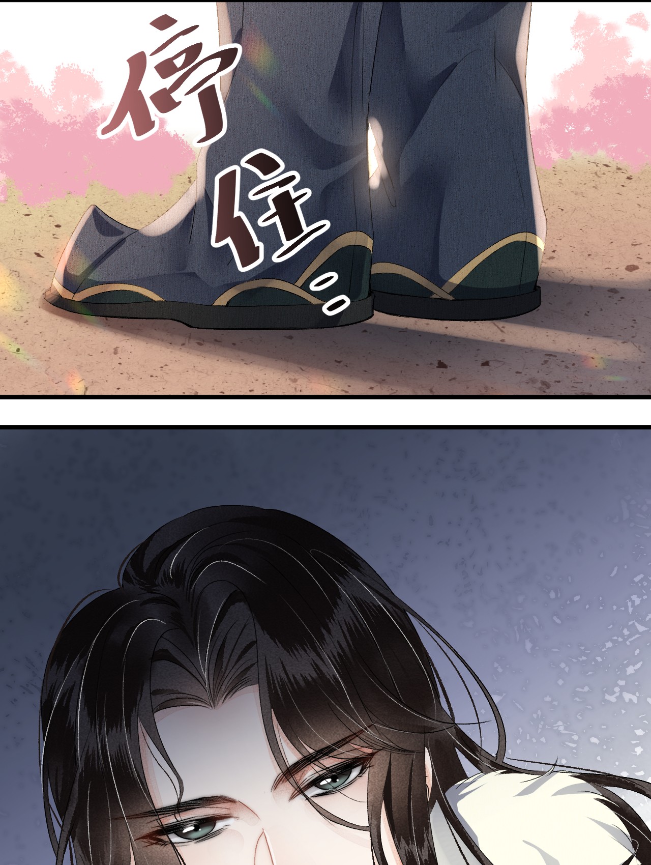这个王妃性别男017 本王选的是他