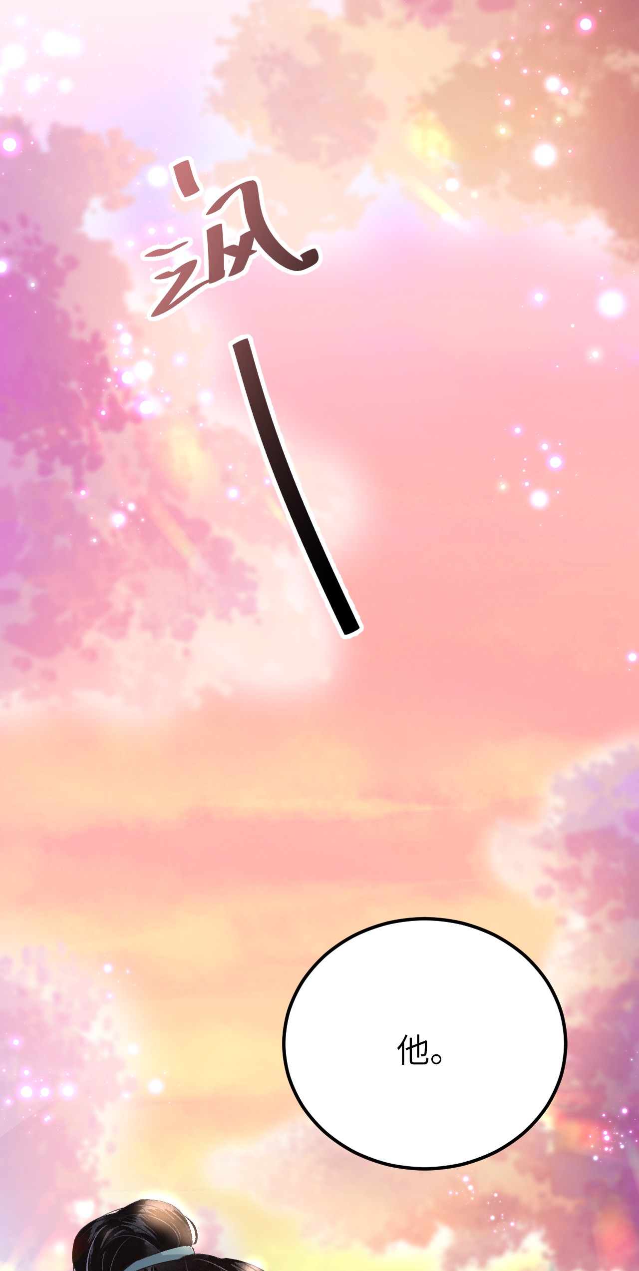 这个王妃性别男017 本王选的是他