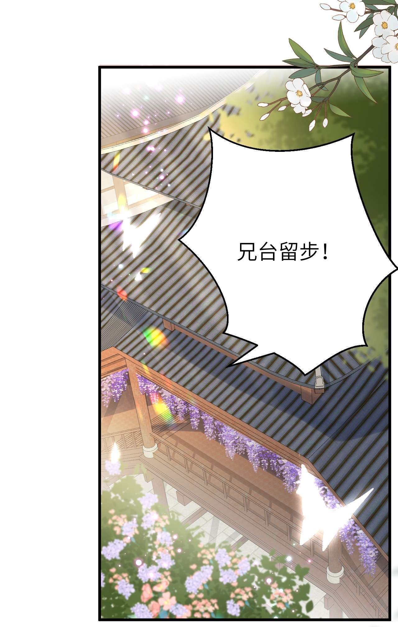 这个王妃性别男019 世界上最特殊的存在