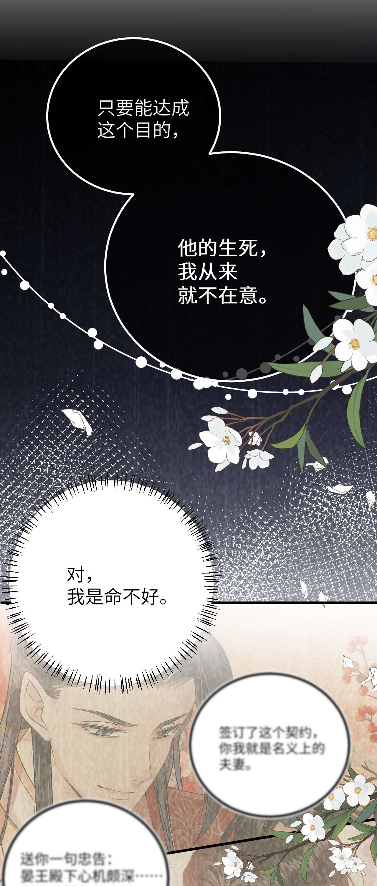 这个王妃性别男035 本王从不在意