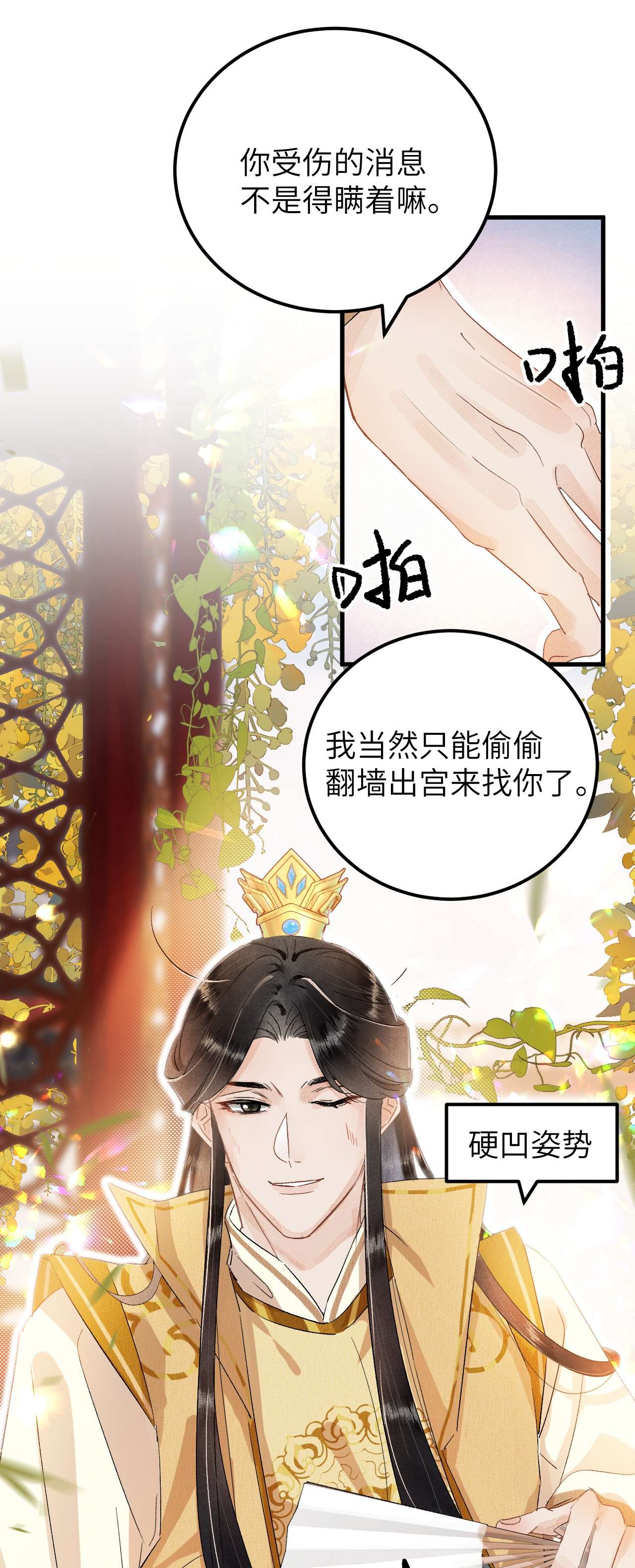 这个王妃性别男035 本王从不在意