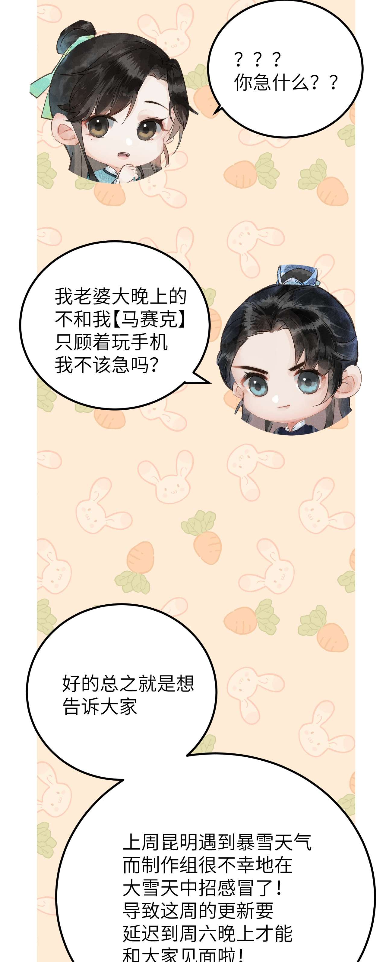 这个王妃性别男通知 延更通知