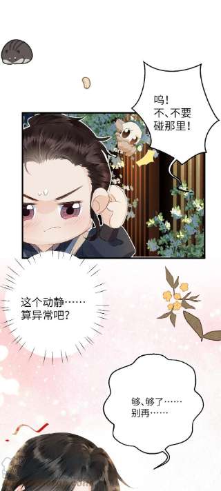 这个王妃性别男小番外 阿云观测日记