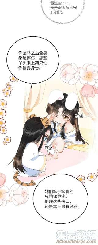 这个王妃性别男小番外 阿云观测日记