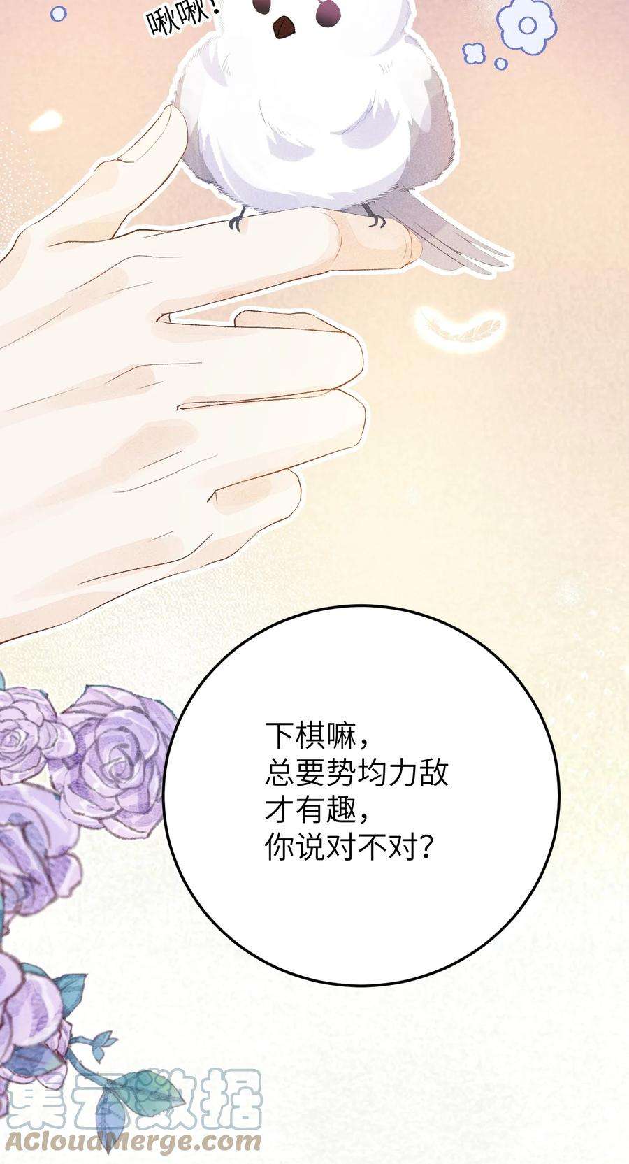 这个王妃性别男043 你不是南宫雨燕