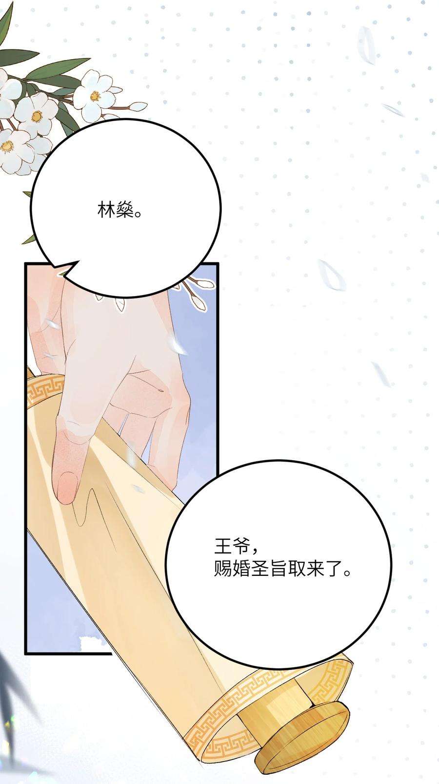 这个王妃性别男045 谁说他不是本王的王妃