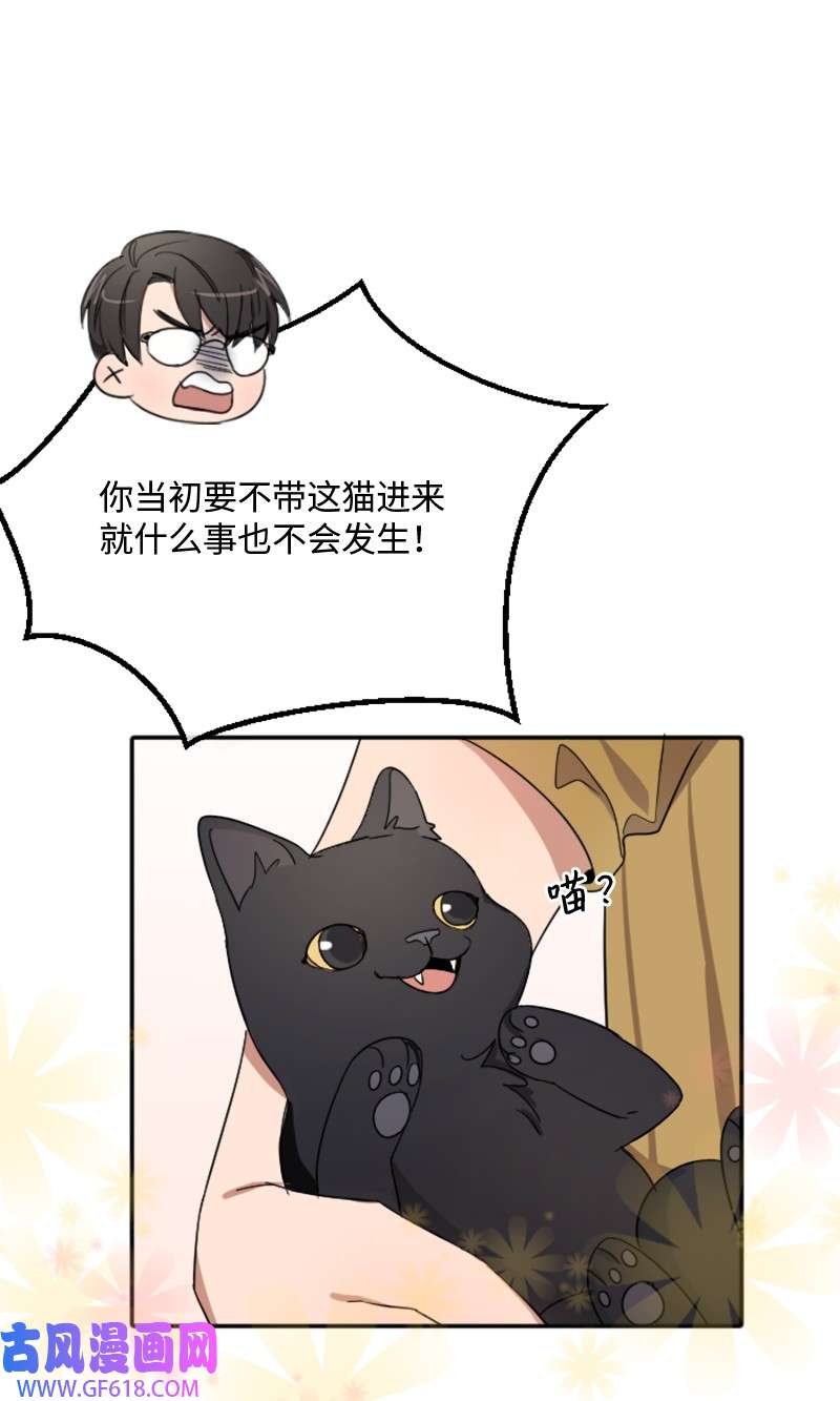桃子的奶爸们01 噩梦的开始