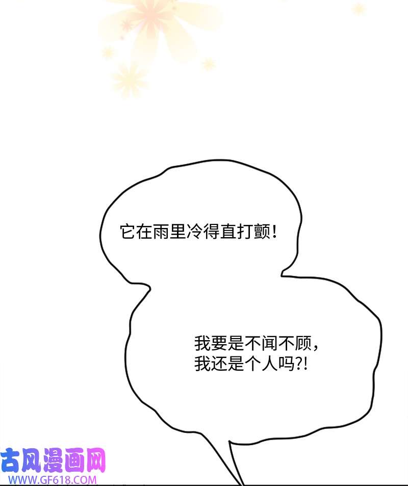 桃子的奶爸们01 噩梦的开始