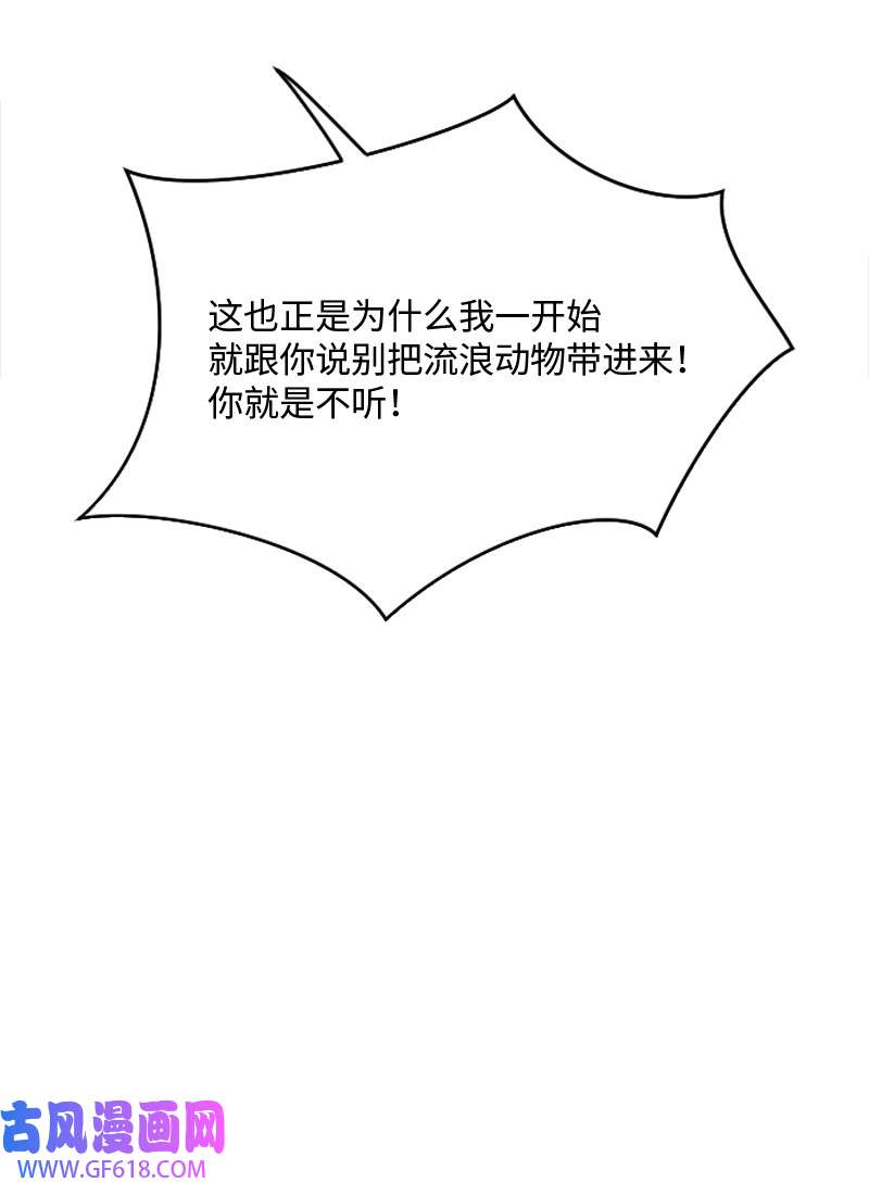 桃子的奶爸们01 噩梦的开始