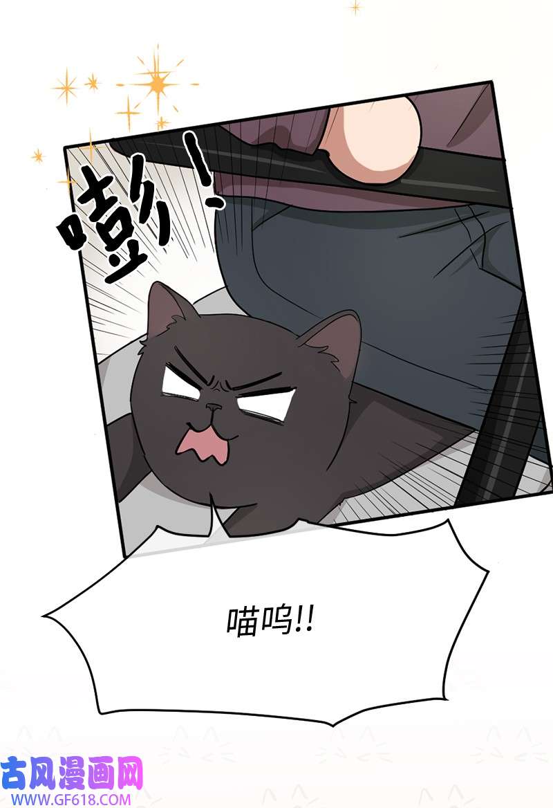 桃子的奶爸们02 桃子