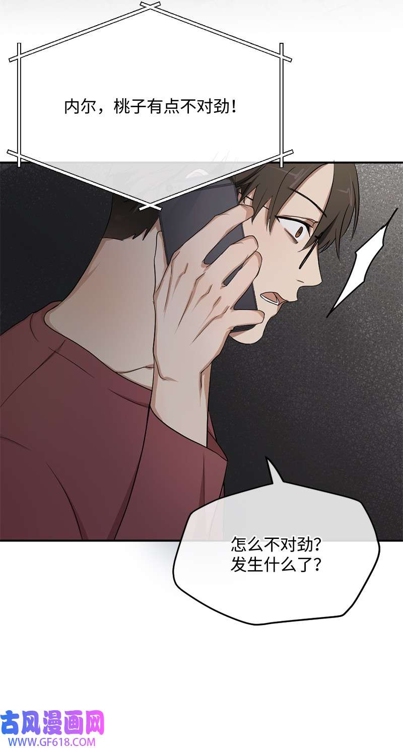桃子的奶爸们04 桃子出事了