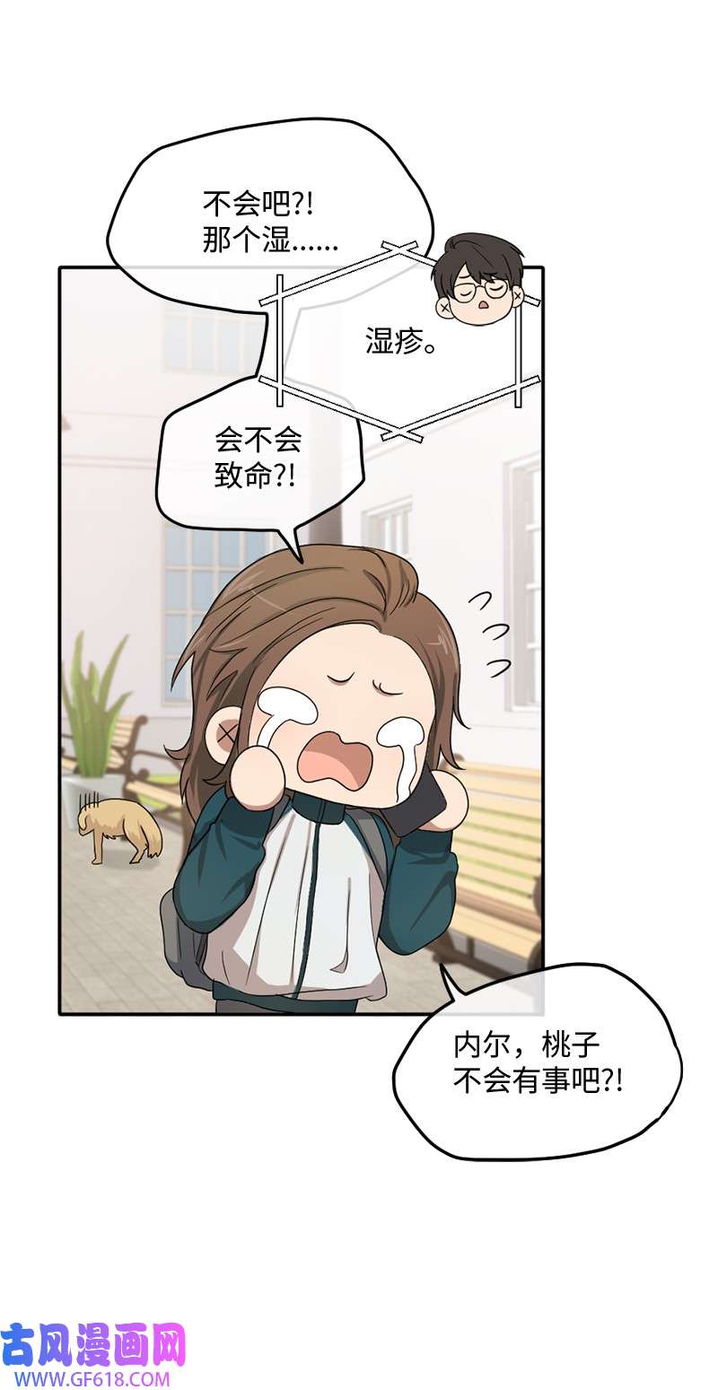 桃子的奶爸们05 大逃亡