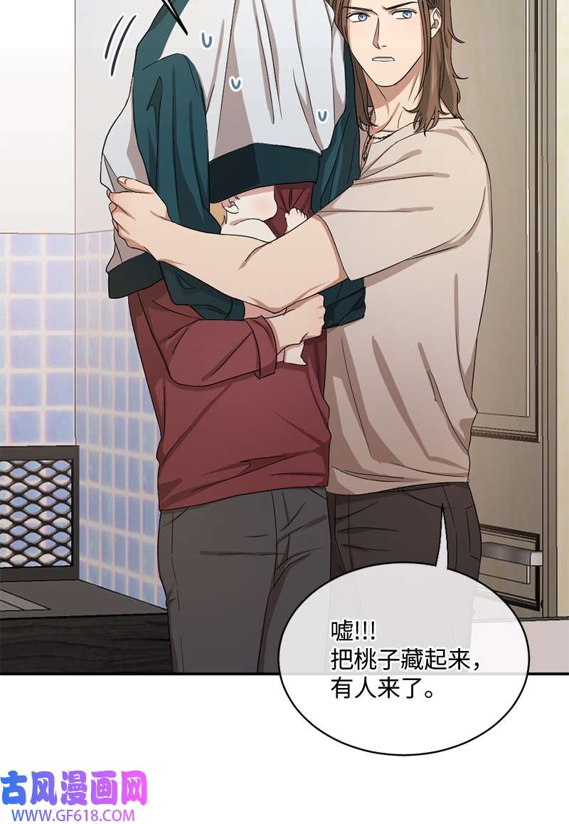 桃子的奶爸们05 大逃亡