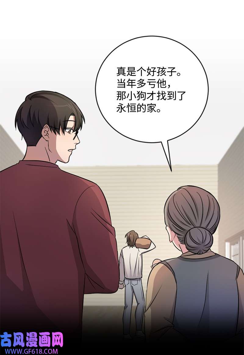 桃子的奶爸们13 找到工作了