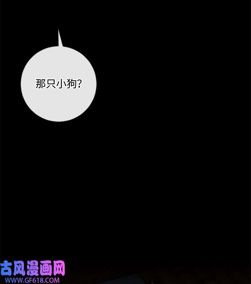 桃子的奶爸们13 找到工作了