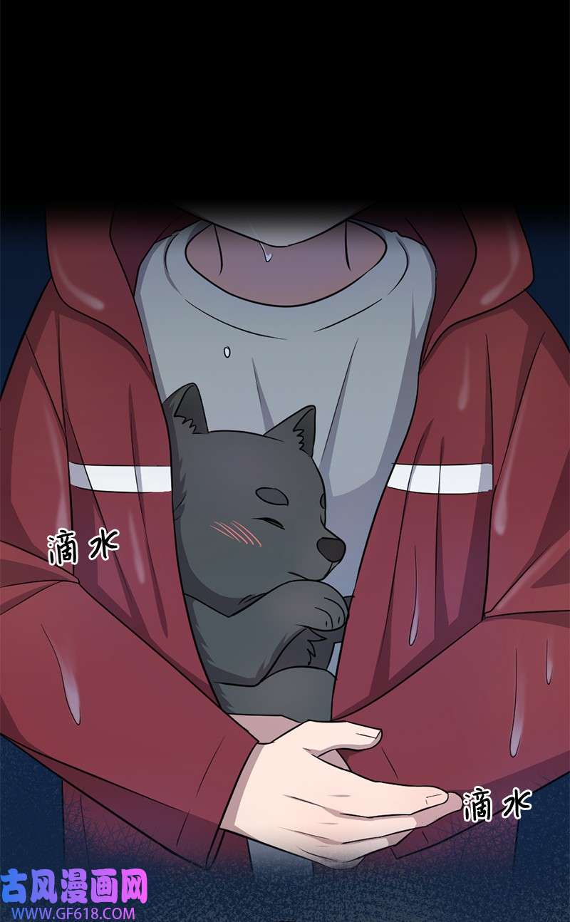 桃子的奶爸们13 找到工作了