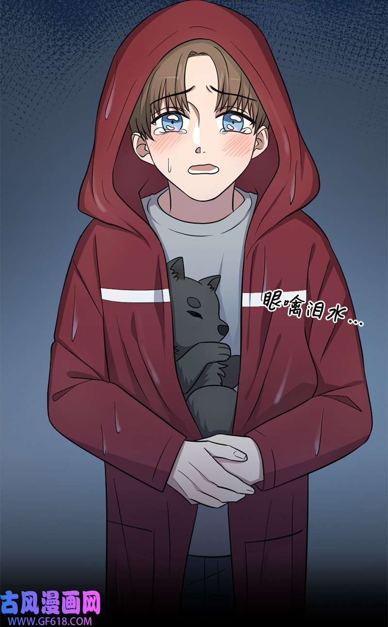 桃子的奶爸们13 找到工作了