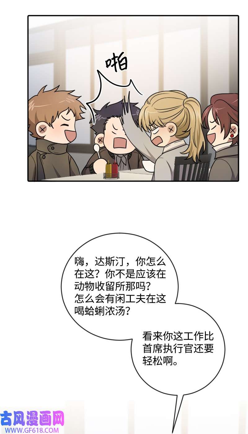 桃子的奶爸们20 心有所属