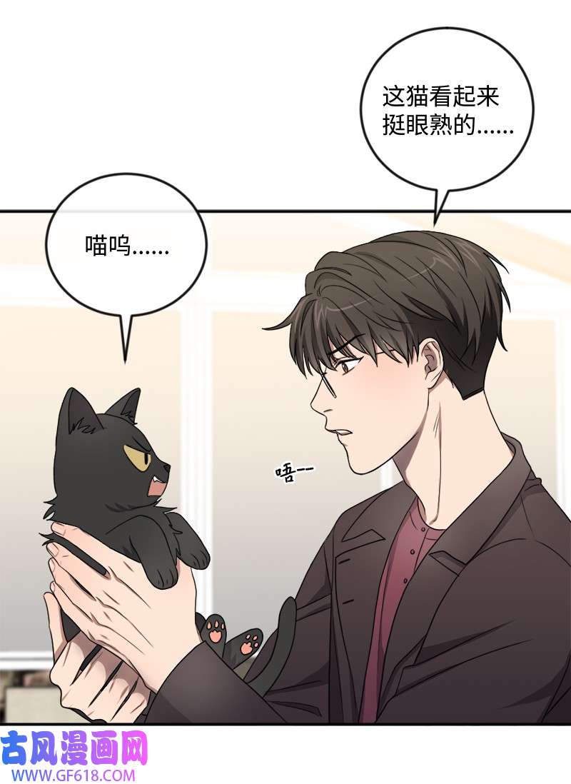 桃子的奶爸们22 我本来就喜欢你啊！