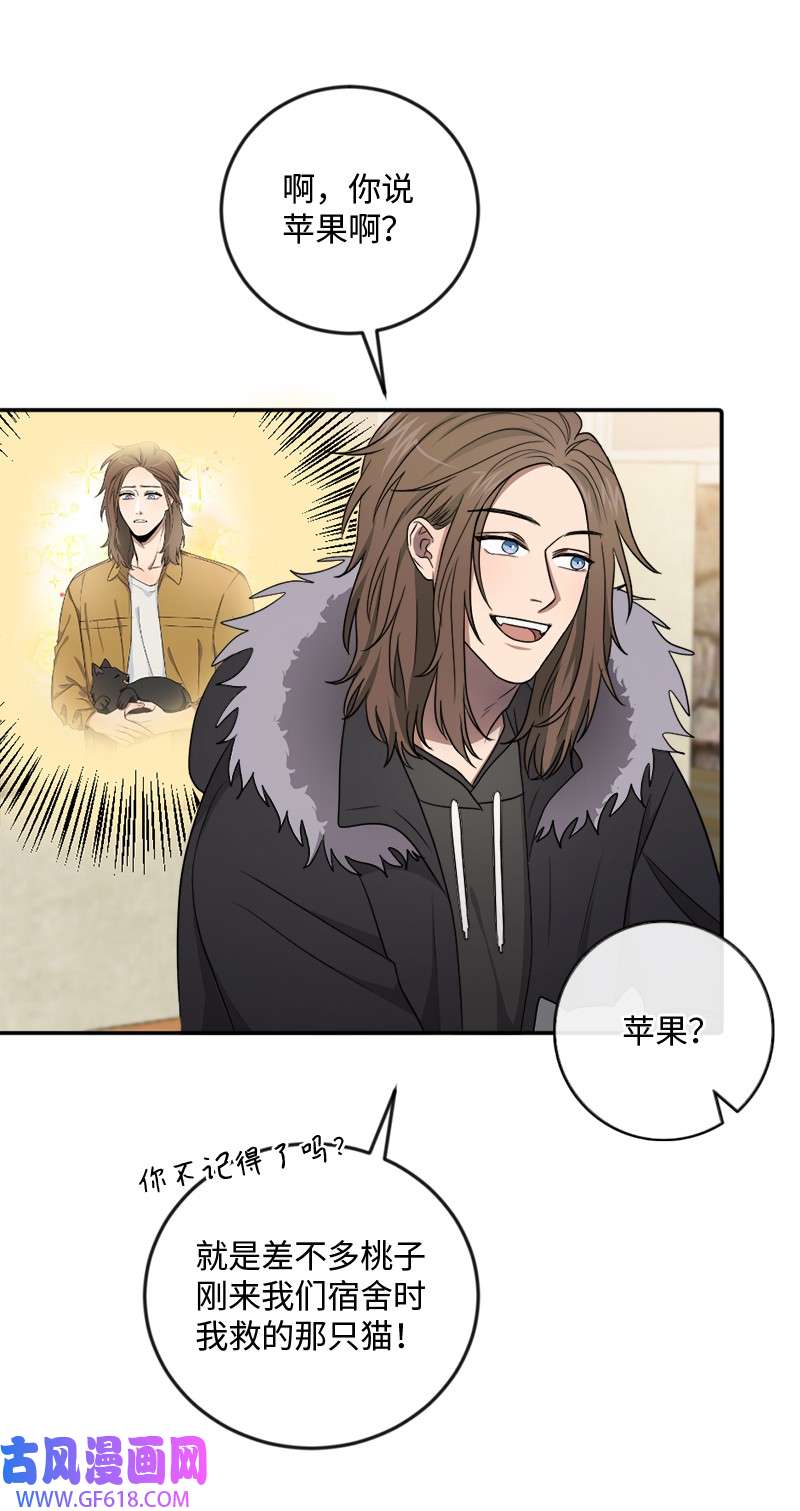 桃子的奶爸们22 我本来就喜欢你啊！