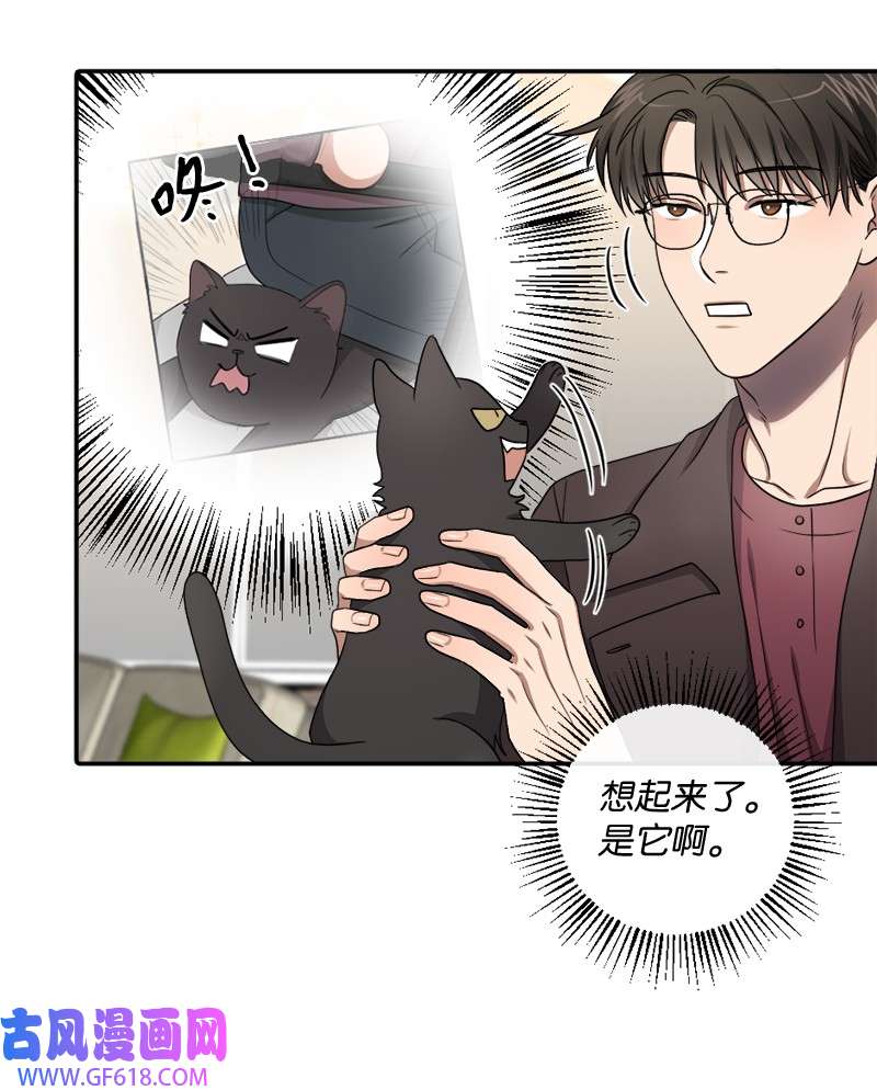 桃子的奶爸们22 我本来就喜欢你啊！