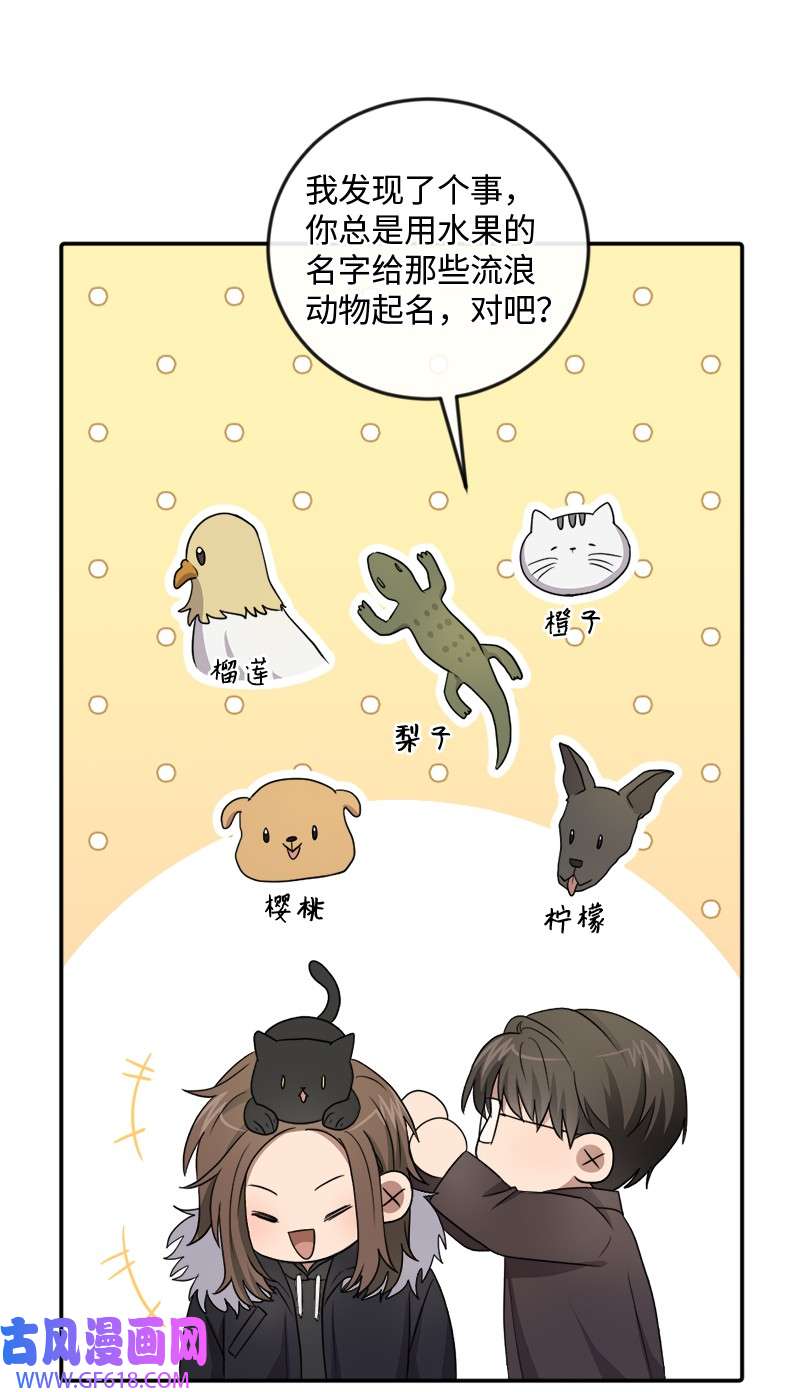 桃子的奶爸们22 我本来就喜欢你啊！