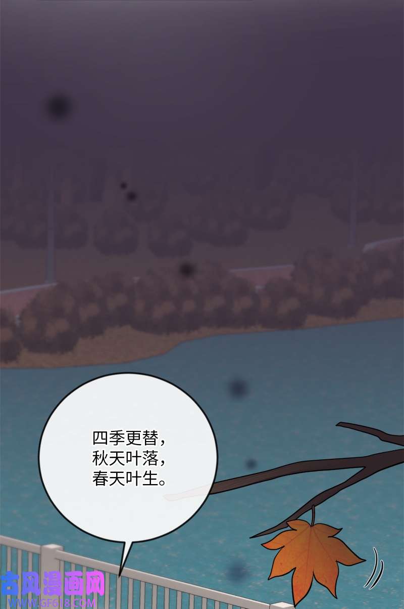 桃子的奶爸们23 我该如何才能温暖你？