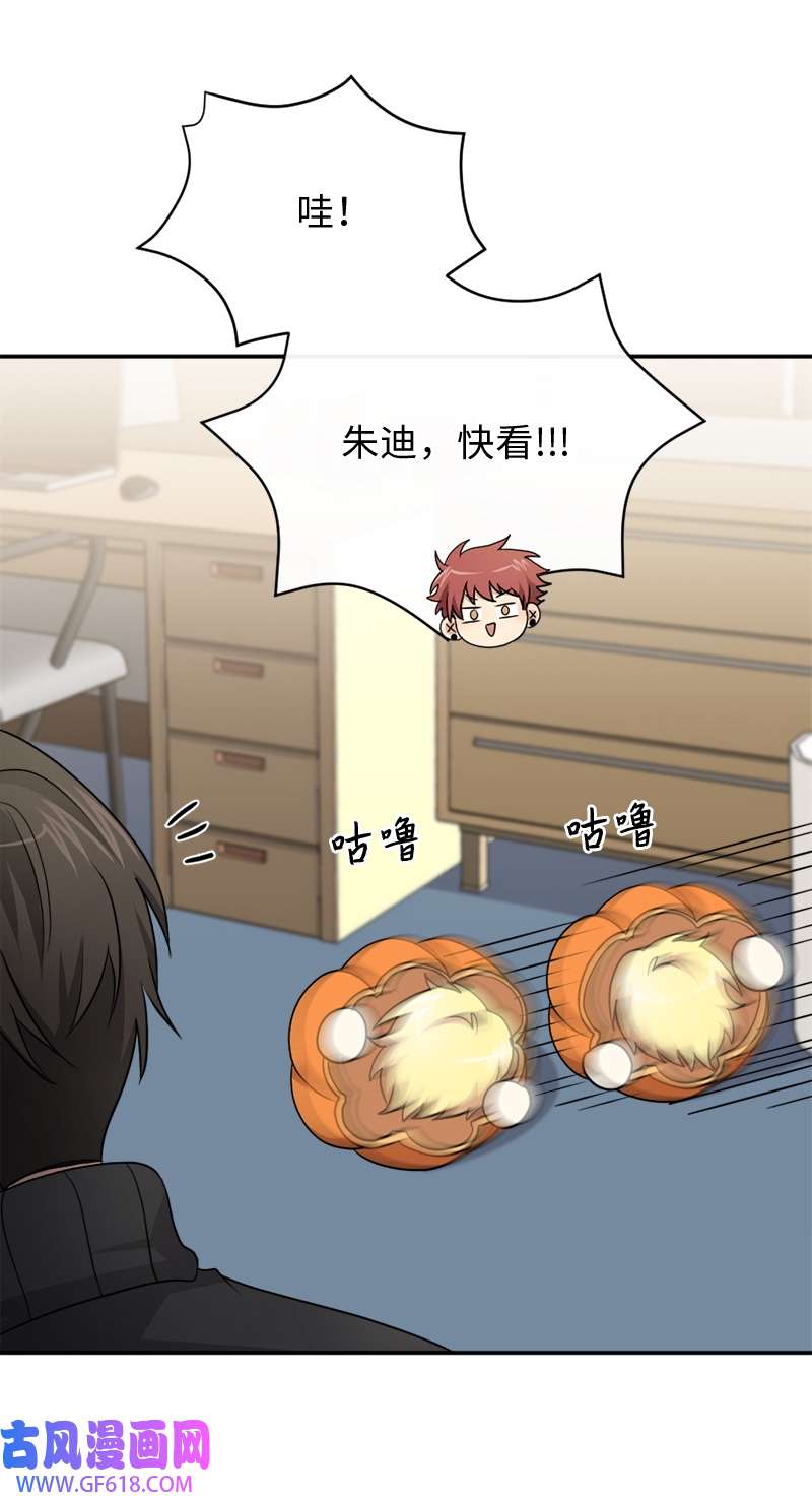 桃子的奶爸们26 玩得开心吗？