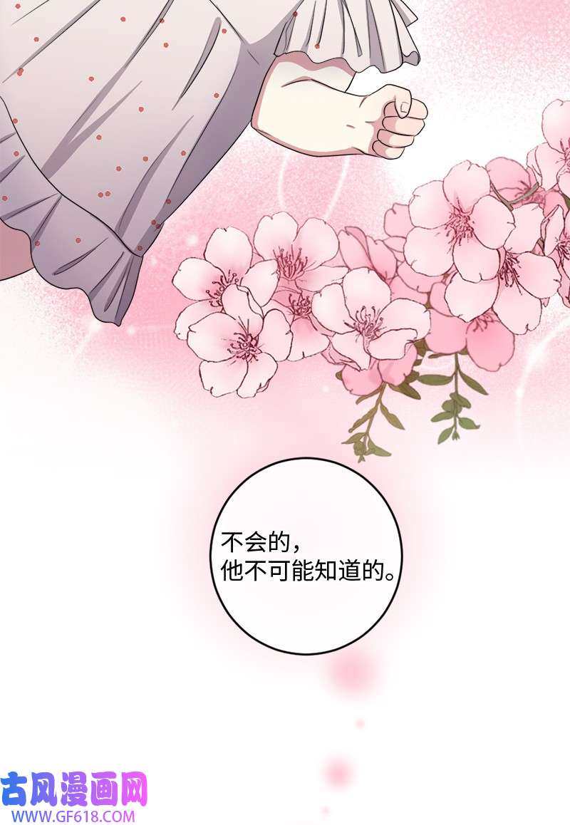 桃子的奶爸们30 生日快乐