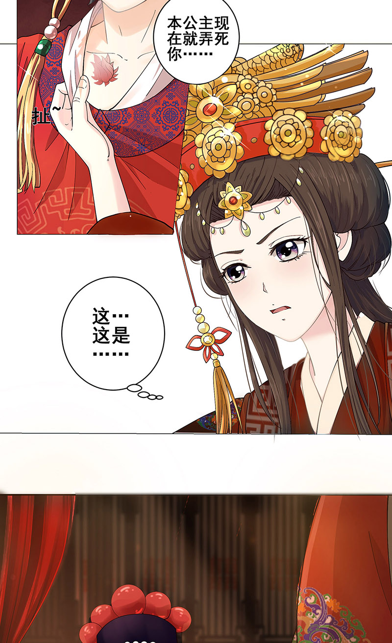 女驸马001洞房花烛夜