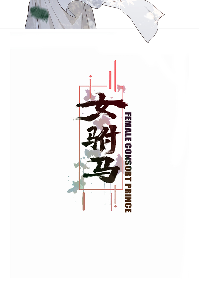 女驸马001洞房花烛夜
