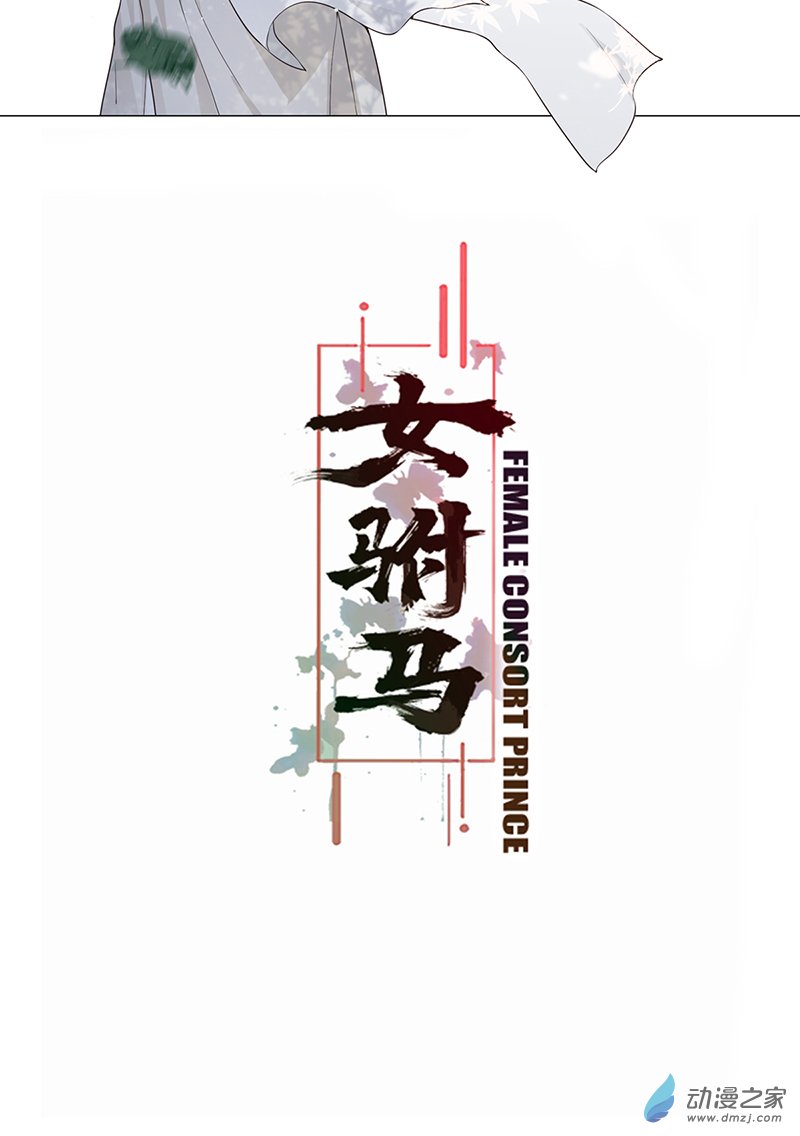 女驸马02 偷偷上私塾