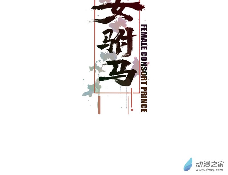 女驸马04偶遇偷书贼