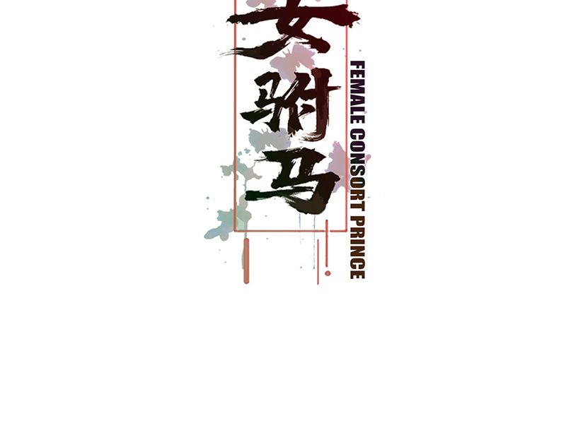 女驸马003偶遇偷书贼