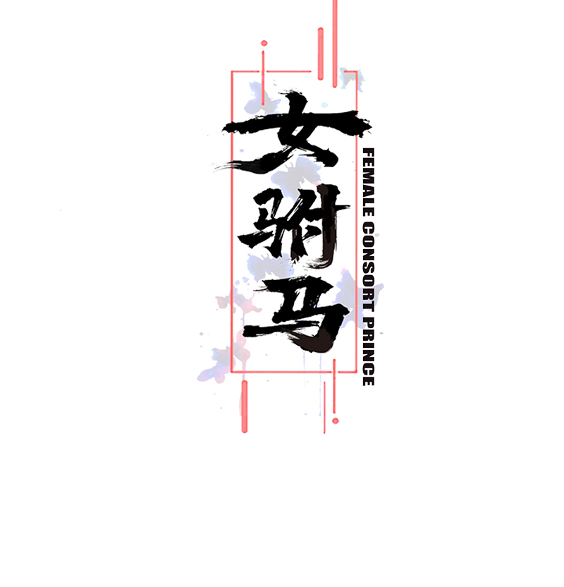女驸马004偷书贼现身