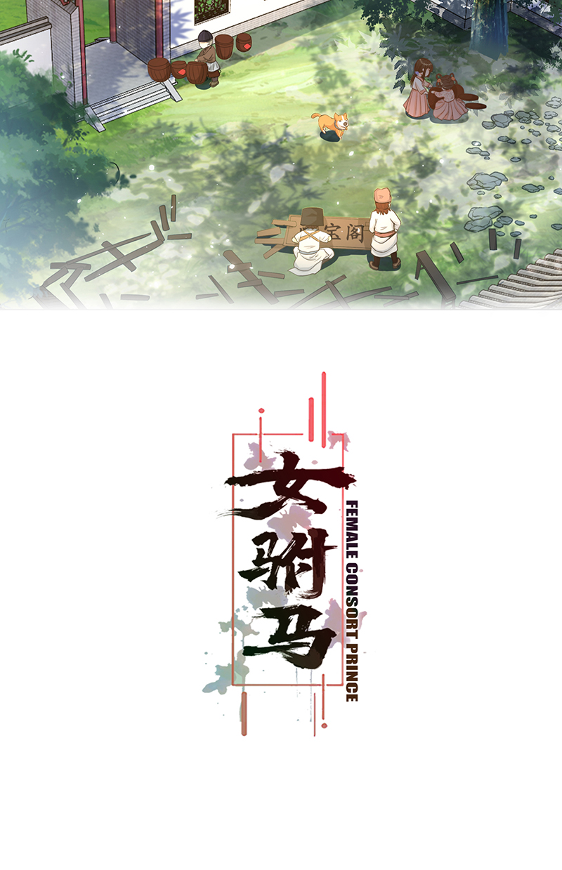 女驸马005齐心御贼人
