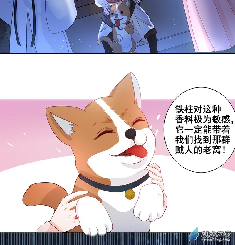 女驸马05 偷书贼现身