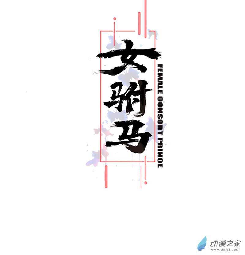 女驸马05 偷书贼现身